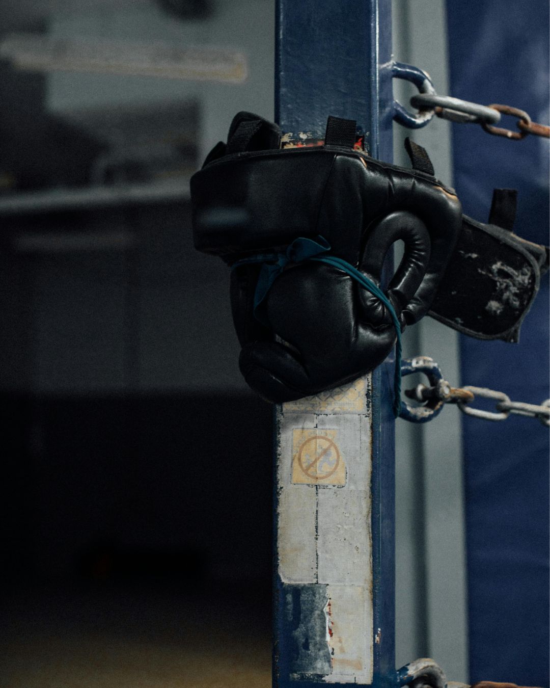Muay Thai gym speed bag